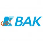 BAK Power Battery